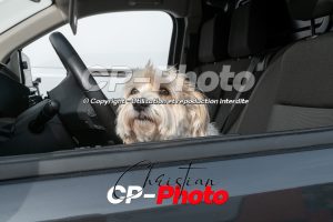 Cp-Photo-27-09-19-_CP61069